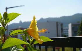 Jardim Da Celeste